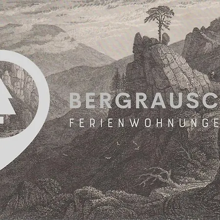 Bergrauschen - Baumkrone - Preise Inklusive Waesche Goslar Exterior foto